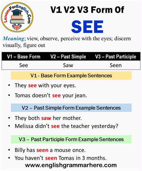 pastence of see|past tense examples.